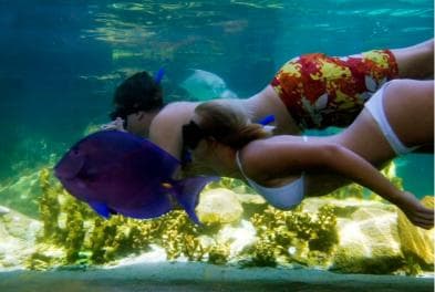 Puerto Plata: Ocean World Adventure Park Day Pass - Photo 5 (Gallery view)