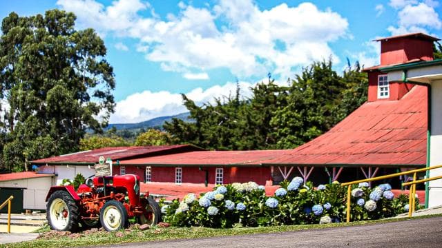 Alajuela: Coffee Plantation Guided Tour with Tasting - Photo 5 (Gallery view)
