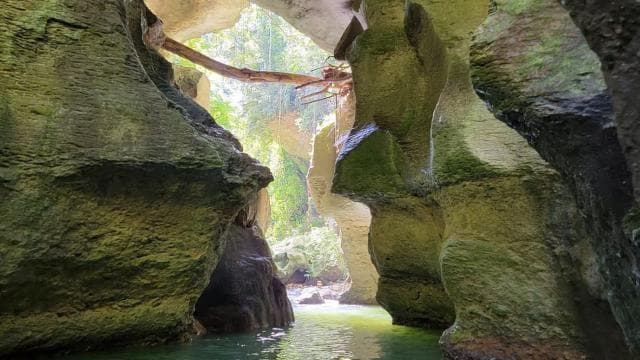 From San Juan: Indian Cave and Water Spring Adventure - Photo 2 (Gallery view)