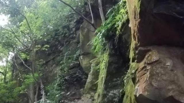 Papagayo Gulf: Guanacaste Volcano and Jungle Tour - Dominican Republic