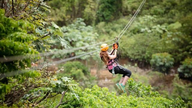 Toro Verde: Zipline + La Bestia con trasporto - Photo 5 (Gallery view)