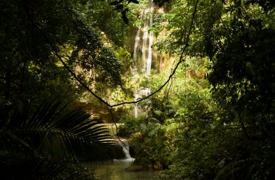 El Limón: recorrido a pie por la cascada con almuerzo - Photo 4 (Gallery view)