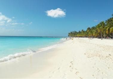 From Punta Cana: Saona Island Tour by Catamaran with Open Bar and Buffet - Photo 5 (Gallery view)