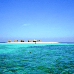 Cayo Arena: Paradise Island and Mangroves Tour - Photo 5 (Gallery view)