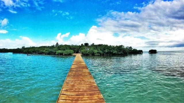 Mystic Waters Under the Sun & Stars Bioluminescent Bay Swim - Dominican Republic