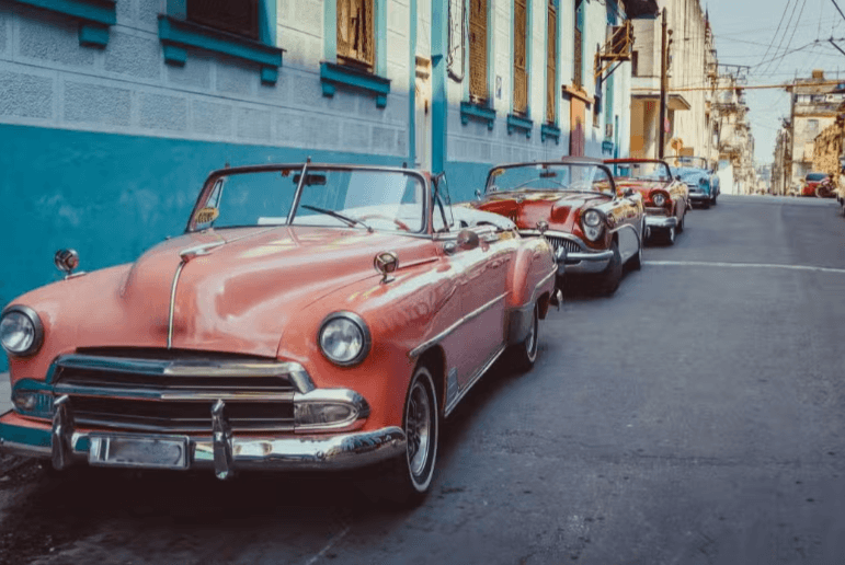 Transfer to Havana - Photo 2 (Gallery view)