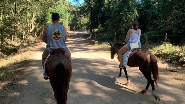 Horseback riding on the beach - Photo 2 (Gallery view)