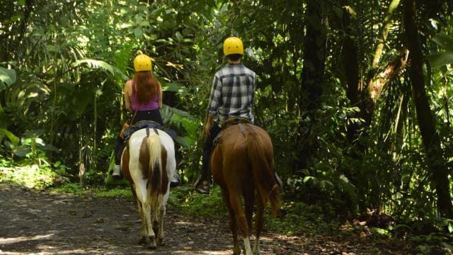 La Fortuna: Arenal Volcano Horseback Riding - Photo 4 (Gallery view)