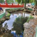 Learn about the History of Bayahibe and Bathe in 7 Springs - Photo 3 (Gallery view)