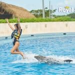 Punta Cana: Swim with Dolphins in the Pool - Photo 4 (Gallery view)