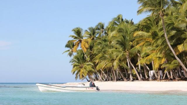 Punta Cana: Saona Island and Altos de Chavón Day Trip - Photo 3 (Gallery view)