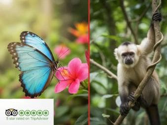 Jardin des papillons et pays des singes à Puerto Plata - Photo 2 (Gallery view)
