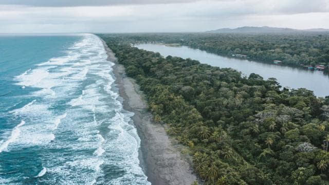 From San Jose: 3-Day Tortuguero National Park Excursion - Photo 2 (Gallery view)
