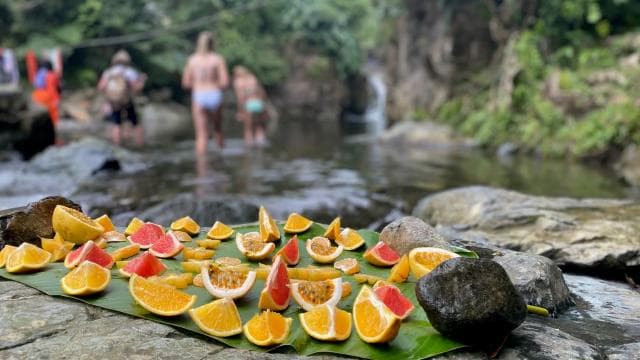 Secret Path to Tinajas Falls (El Yunque Rainforest) - Photo 5 (Gallery view)