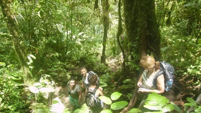 Río Celeste National Park Hike - Dominican Republic