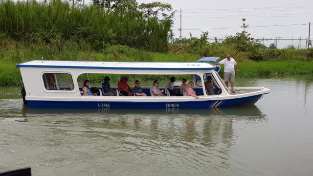Puerto Limon: Half-Day Tortuguero Canals & Playa Bonita Tour - Photo 5 (Gallery view)
