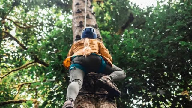 Monteverde: Arboreal Challenge Course - 5 in 1 Adventure - - Photo 4 (Gallery view)