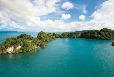 Los Haitises: Boat Excursion and Walking Tour with Lunch - Photo 2 (Gallery view)