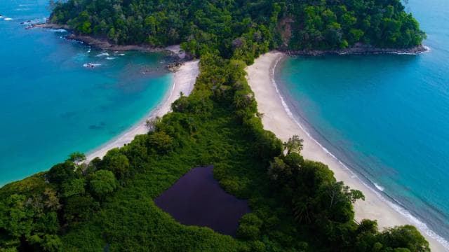Tour gide nan pak nasyonal Manuel Antonio – KI GARANTI - Photo 4 (Gallery view)