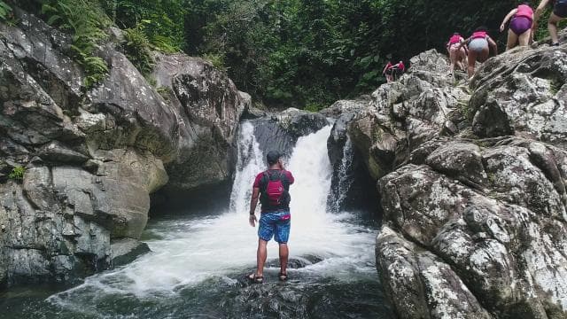 Soti nan San Juan: El Yunque Rainforest & Bio Bay Kayak Combo - Photo 3 (Gallery view)