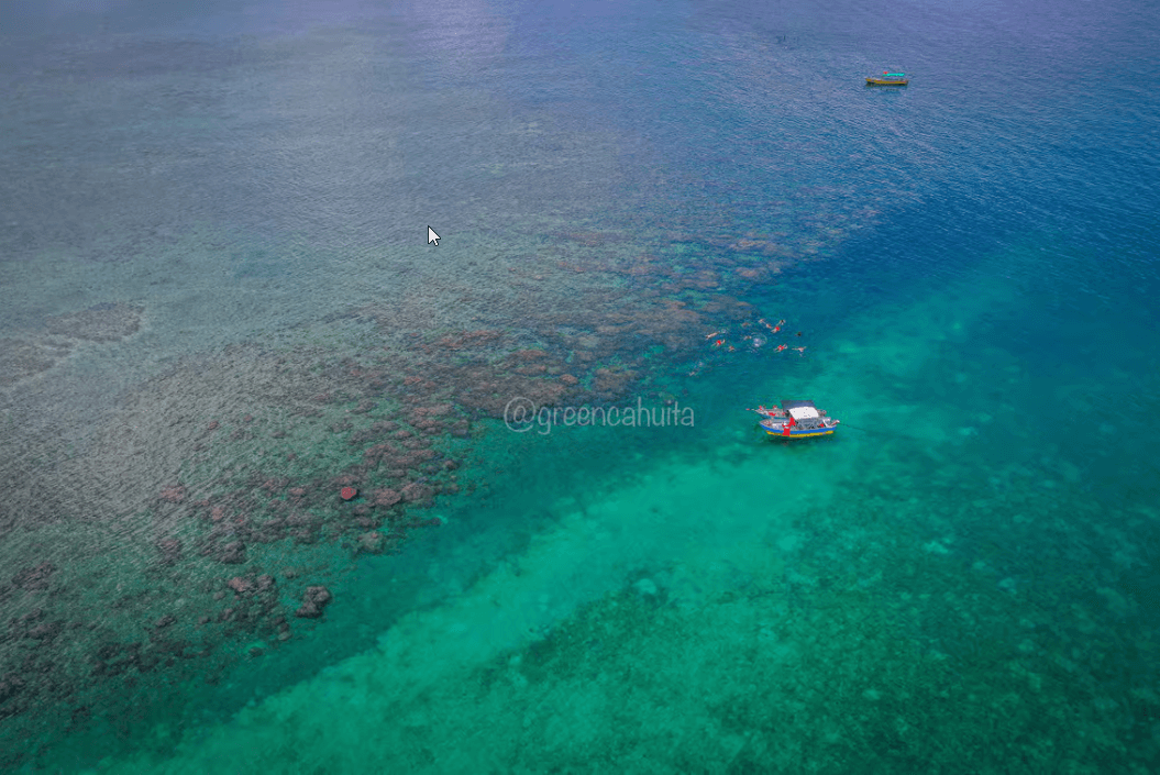 Snorkel en el Parque Nacional Cahuita: Explora el Arrecife - Dominican Republic