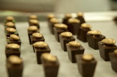 Repubblica Dominicana: tour degli amanti del cioccolato di 3 ore - Photo 2 (Gallery view)