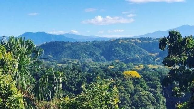Jaco: Rainforest Horseback Ride to El Encanto Waterfall - Photo 5 (Gallery view)