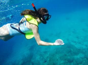 Snorkeling Tour & Sosua Beach Day - Photo 3 (Gallery view)