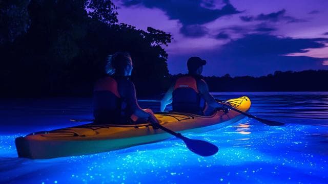 Vieques: Bioluminescent Bay Full Clear Kayaking - Photo 3 (Gallery view)
