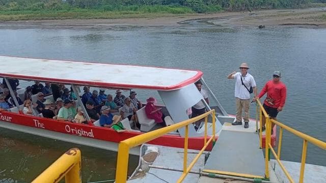 Puntarenas: Wildlife and River Safari Excursion - Photo 3 (Gallery view)