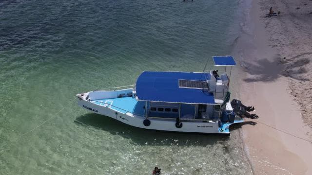 La Romana: Catalina Island for Mein Schiff Cruise Passengers - Photo 4 (Gallery view)