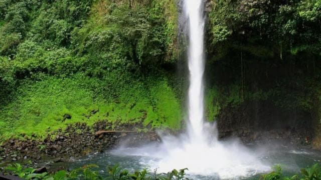 La Fortuna: Horseback Ride to La Fortuna Waterfall - Photo 2 (Gallery view)
