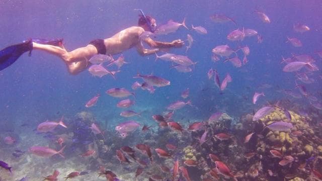Catalina Island Full-Day Snorkeling Tour - Dominican Republic