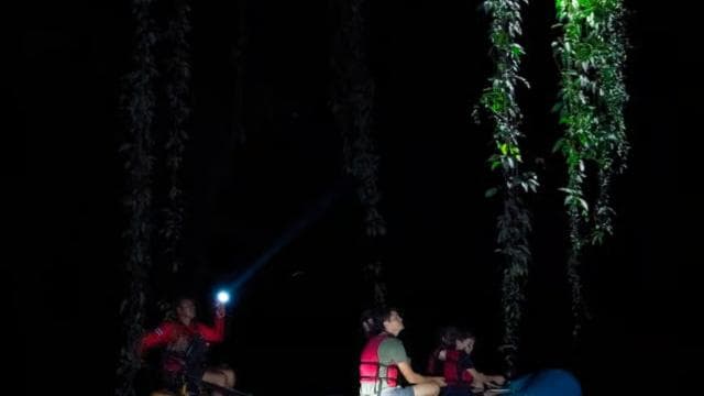 La Fortuna: Guided Twilight Wildlife Safari - Photo 3 (Gallery view)