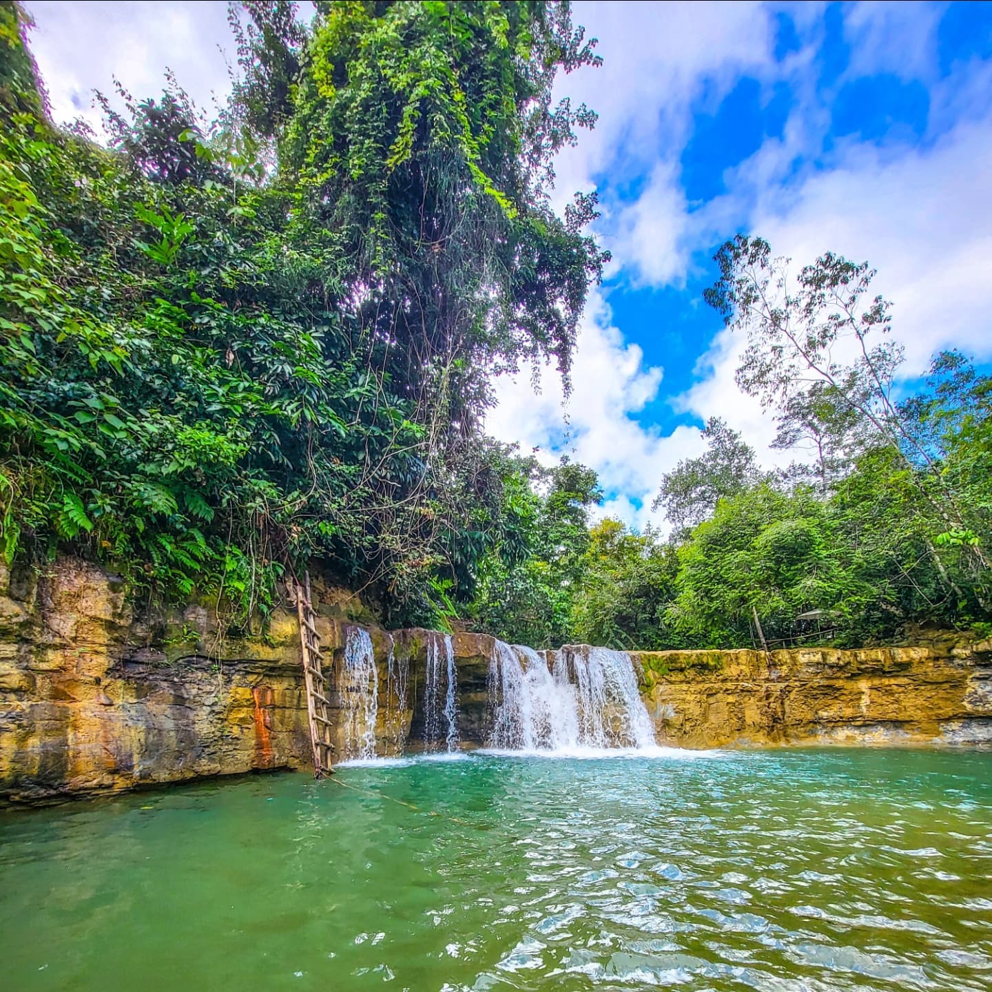 Los Haitises National Park Tour from Las Terrenas, Samaná. Half Day Trip. Lunch at Caño Hondo - Dominican Republic