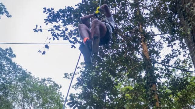 Puerto Viejo: Explore the giant ceibo tree with an accessible aerial circuit - Dominican Republic