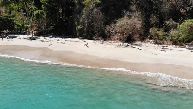Paquera: Isla Tortuga Snorkeling tour - Photo 3 (Gallery view)