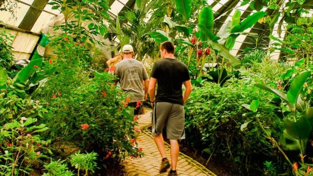 Monteverde: Suspension Bridges, Sloths, and Butterflies - Dominican Republic