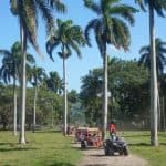 Amber Cove – Tour in super buggy a 4 posti della Taino Bay - Photo 2 (Gallery view)