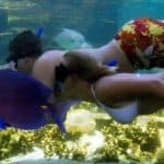 Dolphin Encounter for Dominican Residents - Photo 4 (Gallery view)