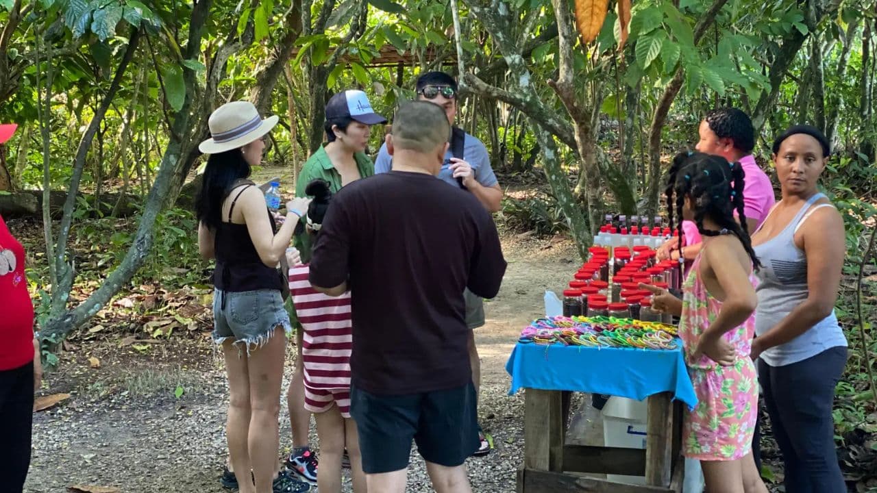 Private Half Day Tour in Punta Cana with Local Guide - Photo 3 (Gallery view)