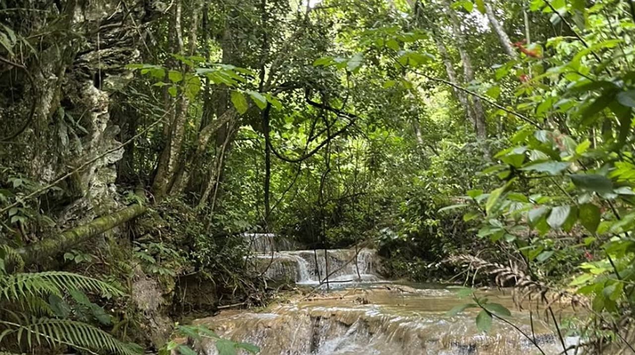 El Nicho Waterfalls Excursion - Photo 4 (Gallery view)