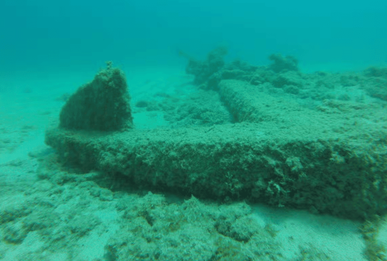Snorkelling in Havana - Photo 4 (Gallery view)