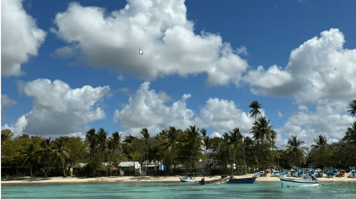 Punta Cana: excursión a la isla Saona en catamarán con almuerzo - Photo 2 (Gallery view)
