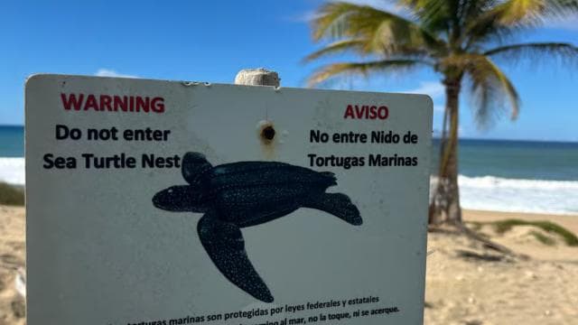 San Juan - Arecibo: midwest expedition waterfalls and beach - Dominican Republic