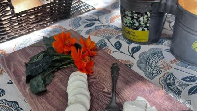 Carolina: Degustasyon Farm-to-Table ak Manje midi ak lèt ​​kabrit - Photo 3 (Gallery view)