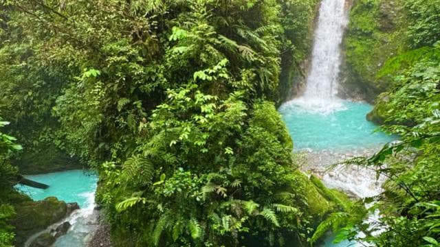 Quepos: White-Water Rafting on the Scenic Savegre River - Dominican Republic