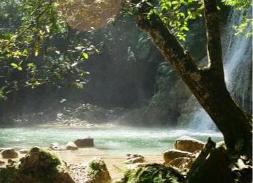 Las Terrenas: El Limón Waterfall Trekking Tour in Samana - Photo 2 (Gallery view)
