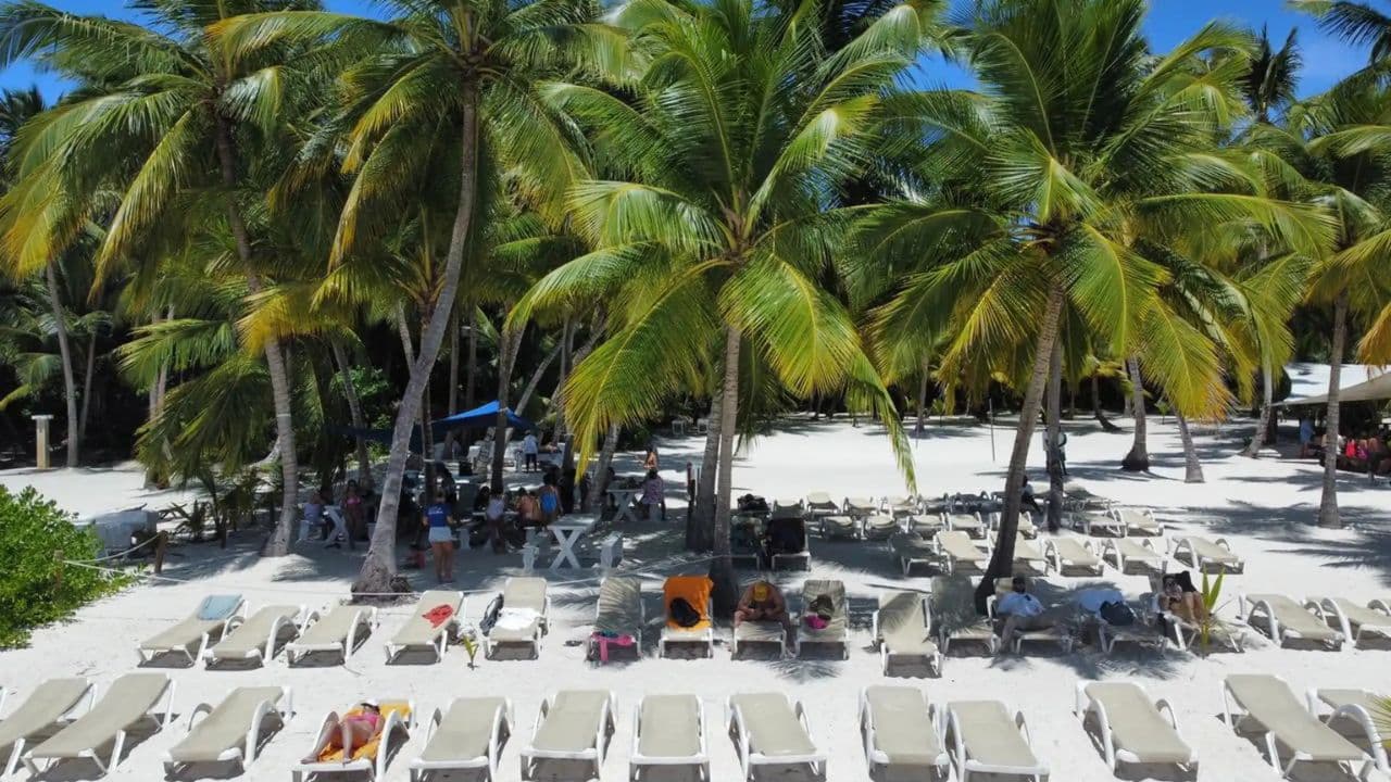 Saona Island Full Day For Small Group Catamaran VIP - Photo 5 (Gallery view)