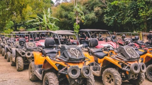 Carabalí Rainforest Park: UTV Adventure Tour - Photo 1 (Main angle)
